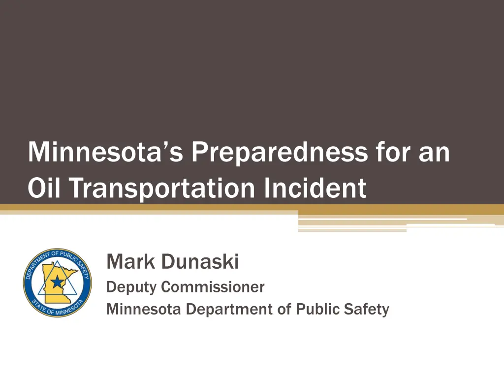 minnesota s preparedness