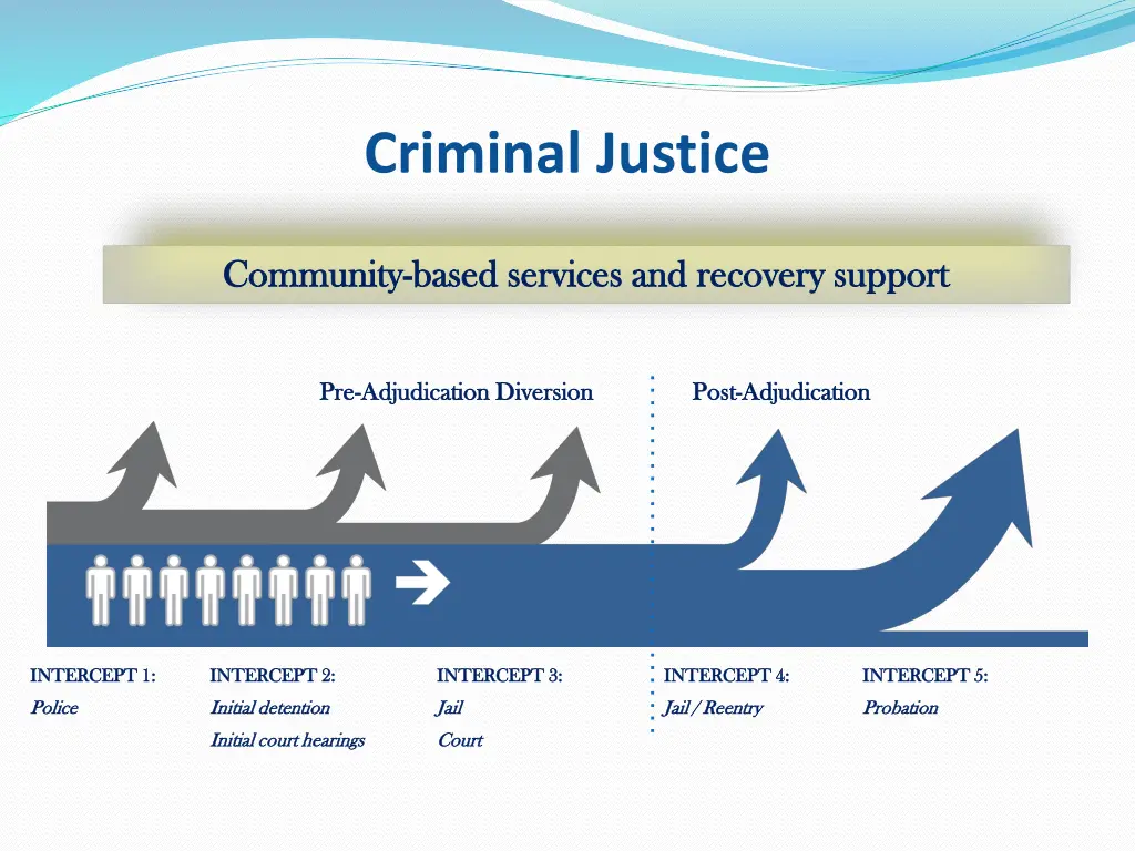 criminal justice