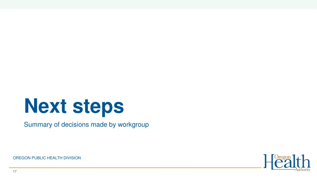 next steps summary of decisions made by workgroup