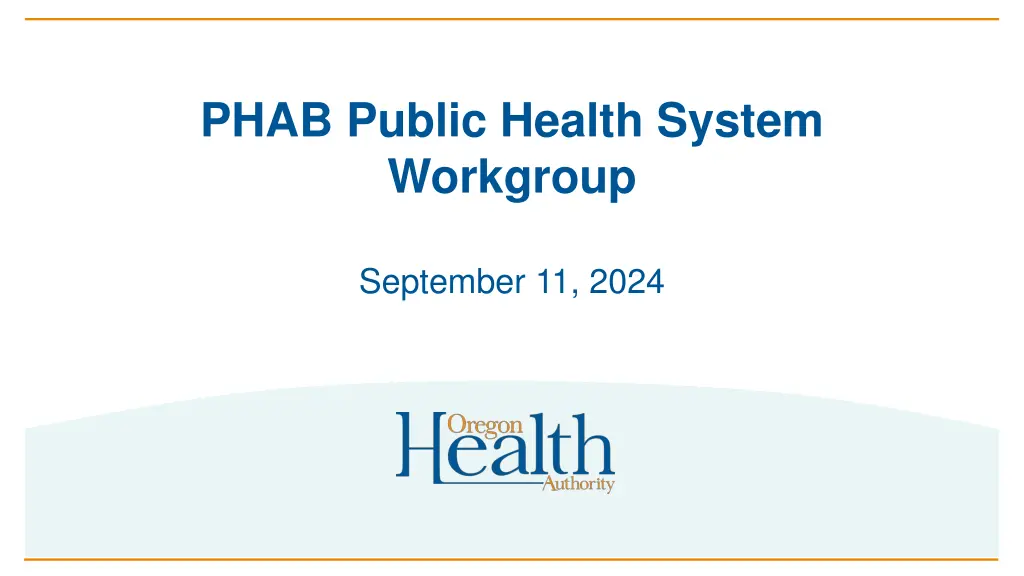 phab public health system workgroup