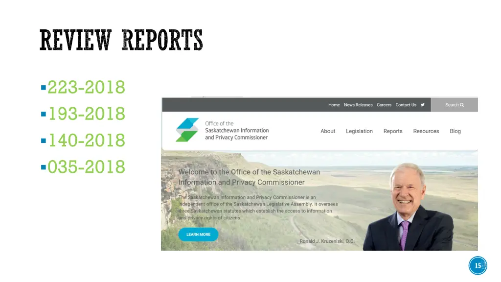 review reports