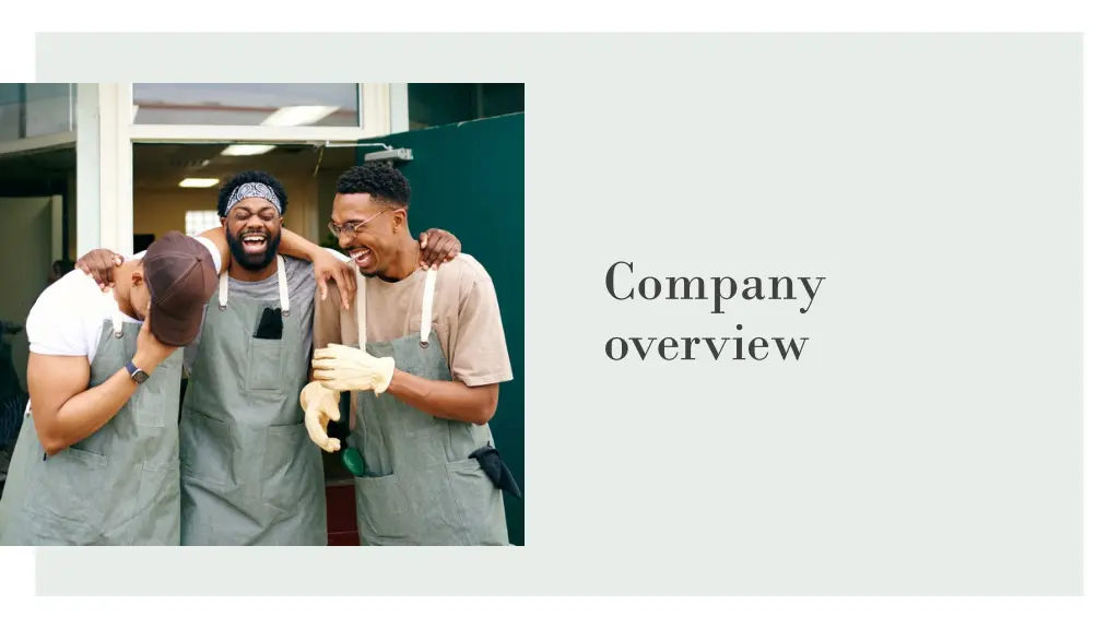 company overview
