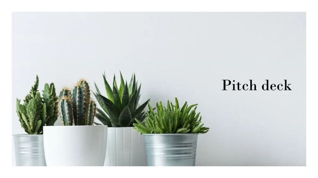 pitch deck