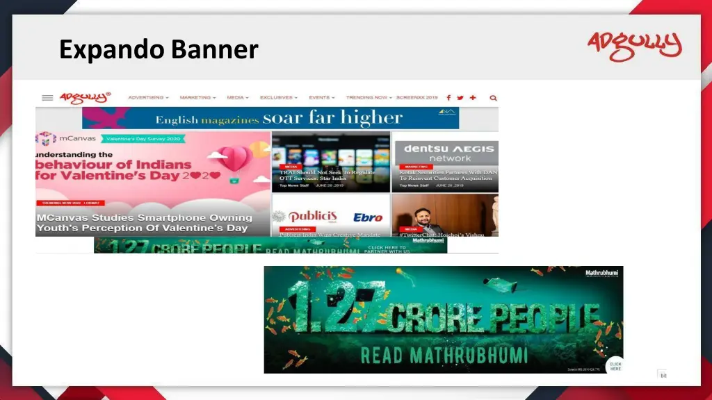 expando banner