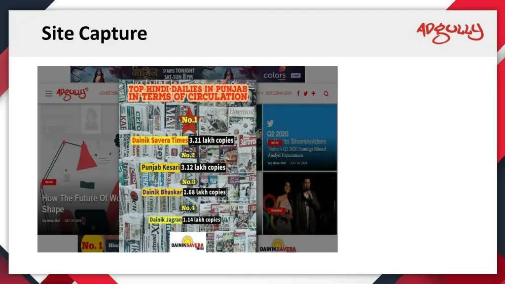 site capture