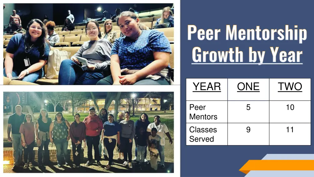 peer mentorship growth by year