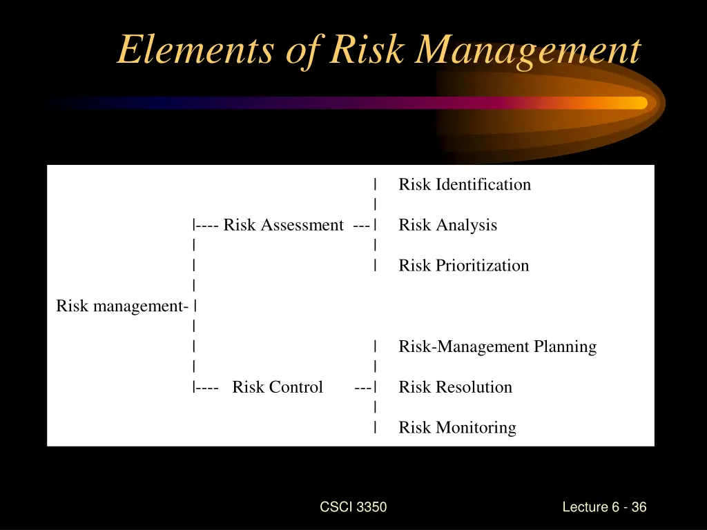 elements of risk management