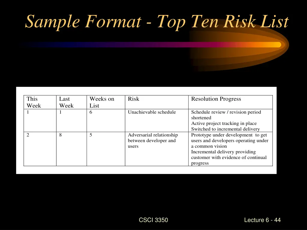 sample format top ten risk list