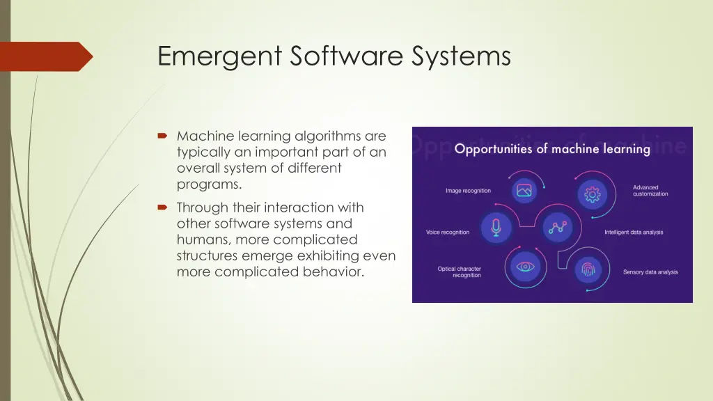 emergent software systems
