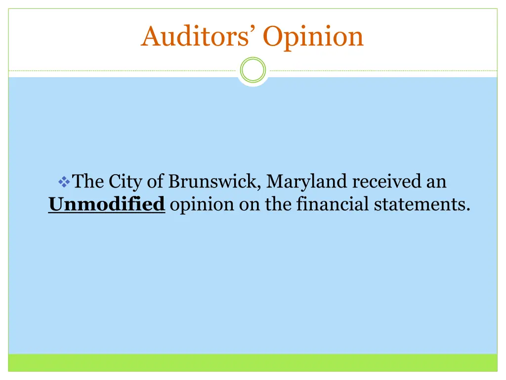 auditors opinion