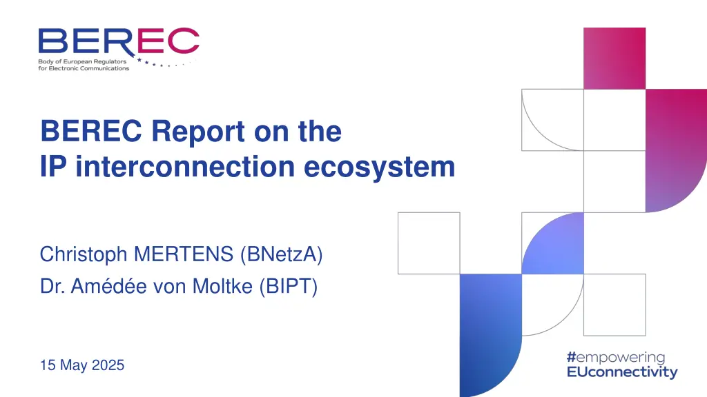 berec report on the ip interconnection ecosystem