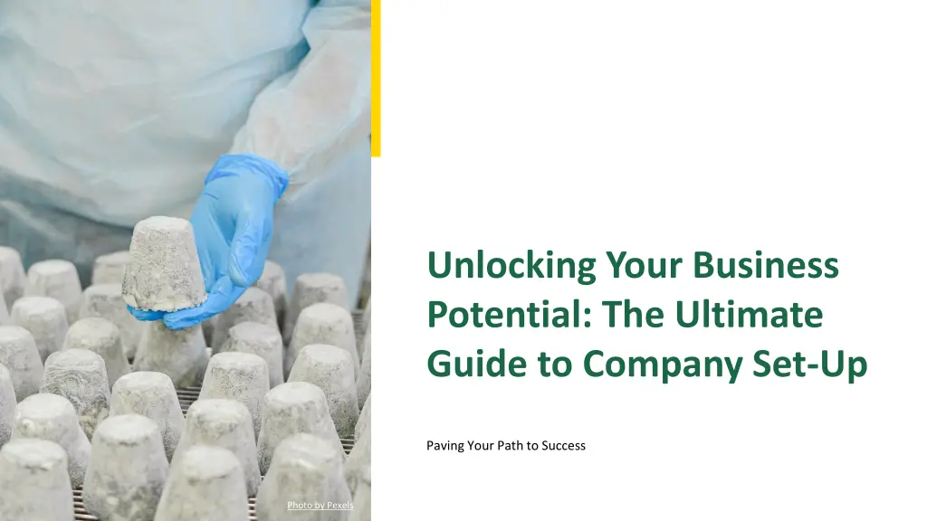 unlocking your business potential the ultimate