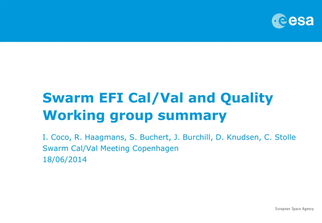 swarm efi cal val and quality working group