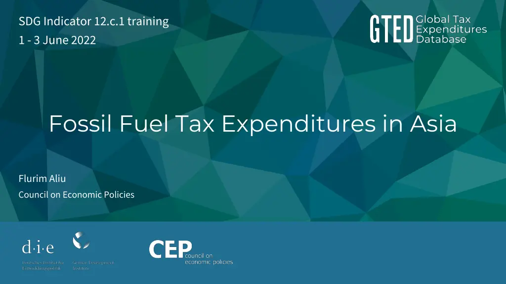 sdg indicator 12 c 1 training 1 3 june 2022