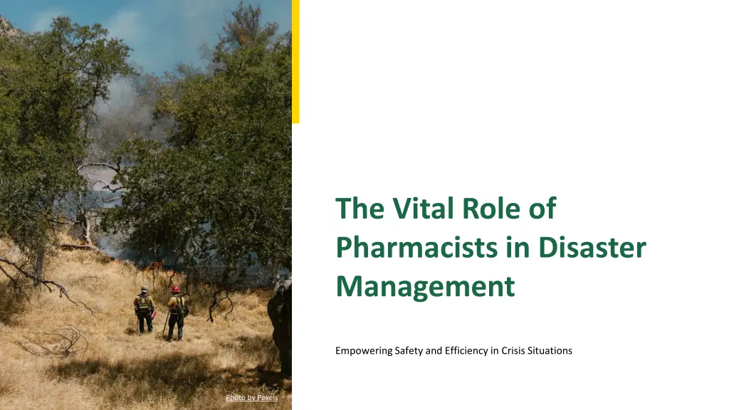 the vital role of pharmacists in disaster