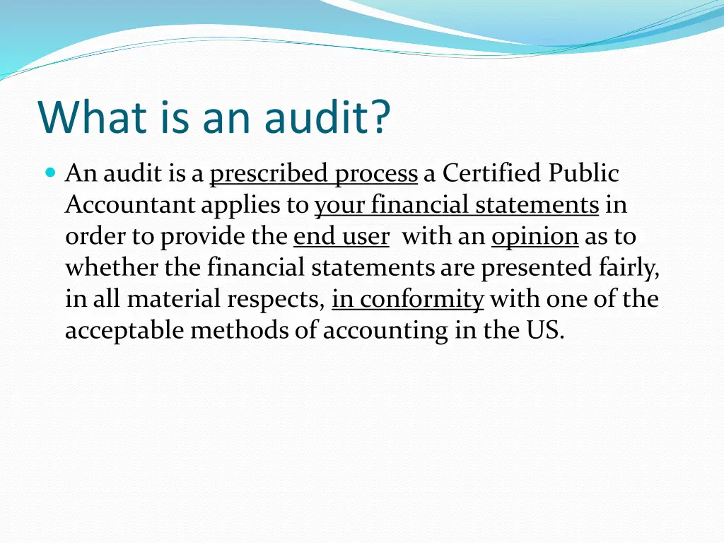 what is an audit