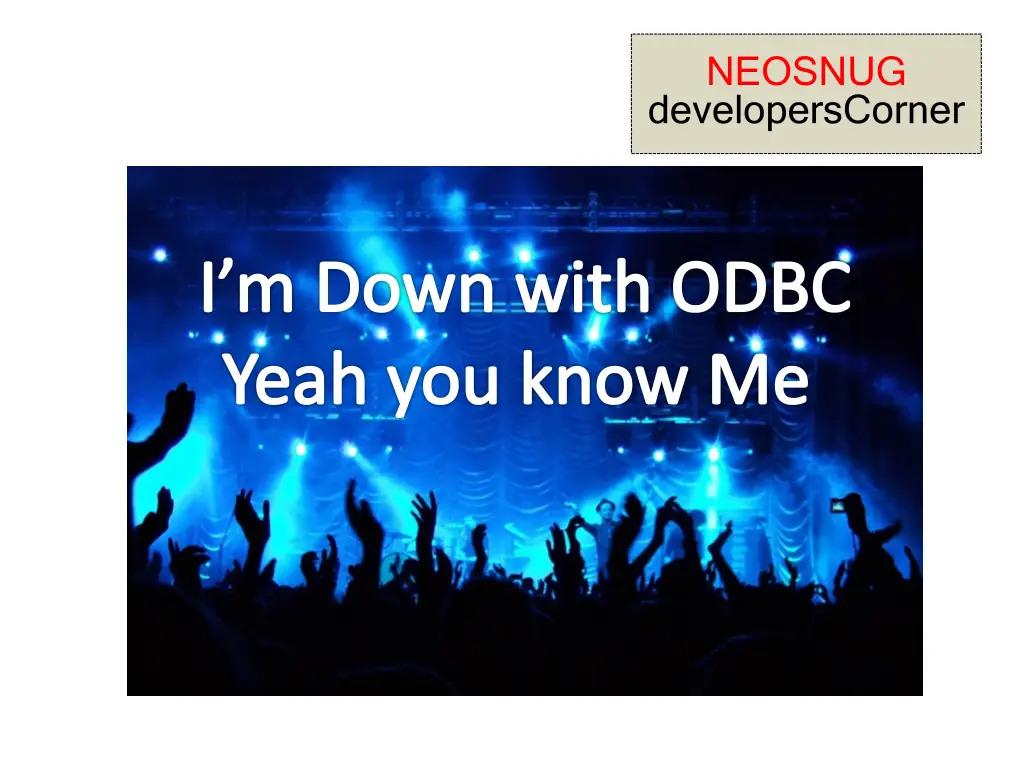 neosnug developerscorner 1