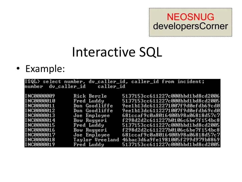 neosnug developerscorner 10