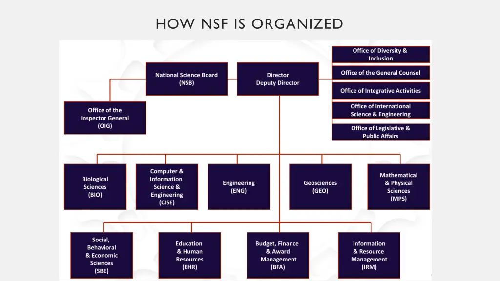 how nsf is organized