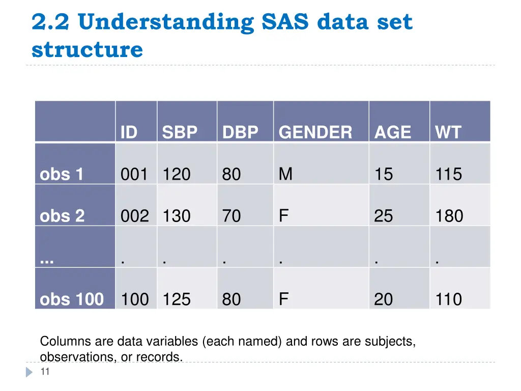 2 2 understanding sas data set structure