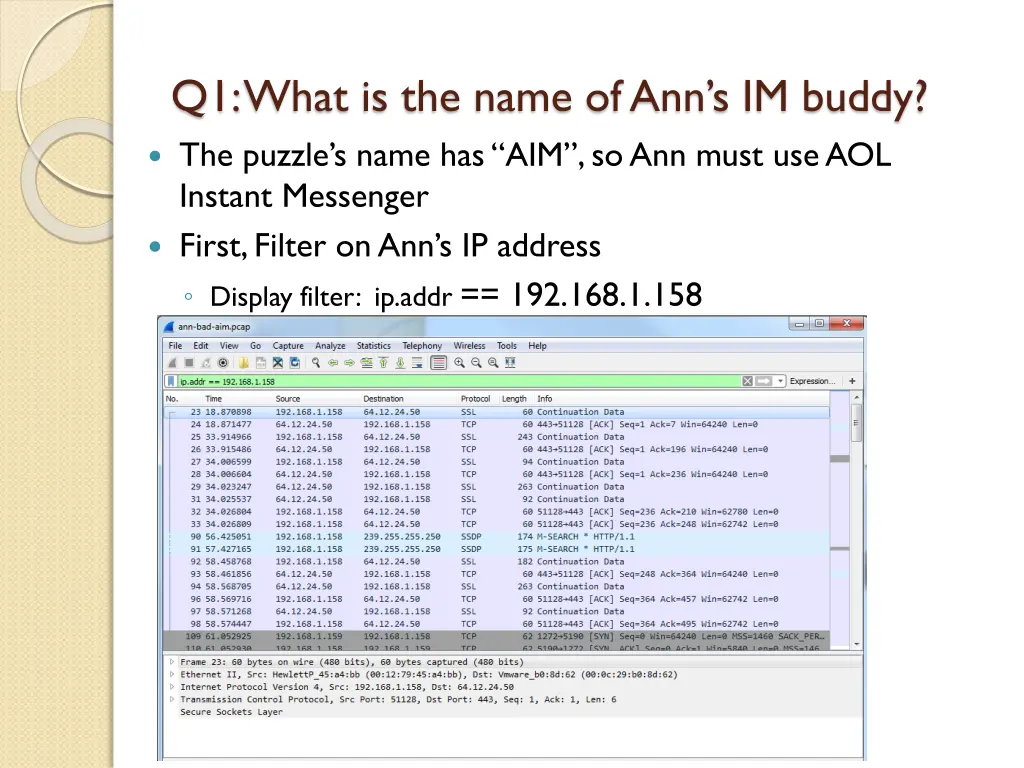 q1 what is the name of ann s im buddy the puzzle