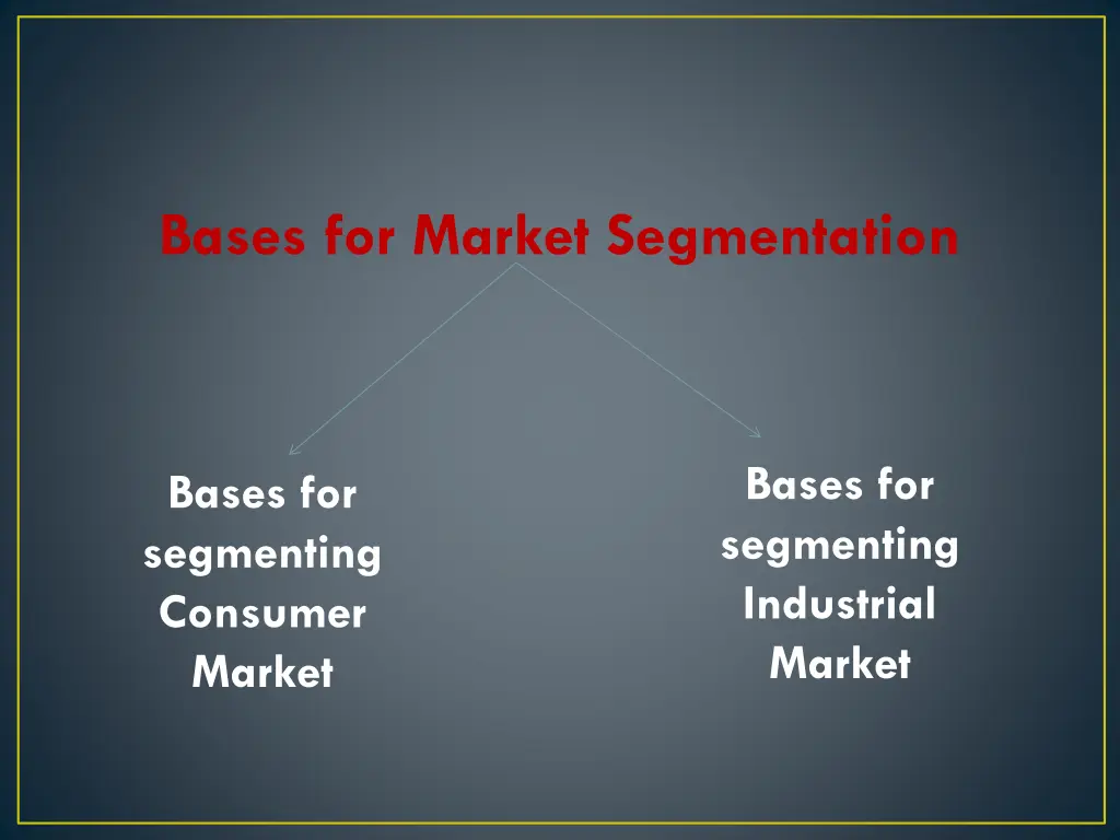 bases for market segmentation