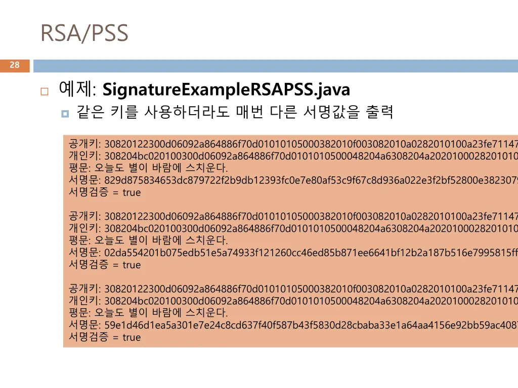 rsa pss 1
