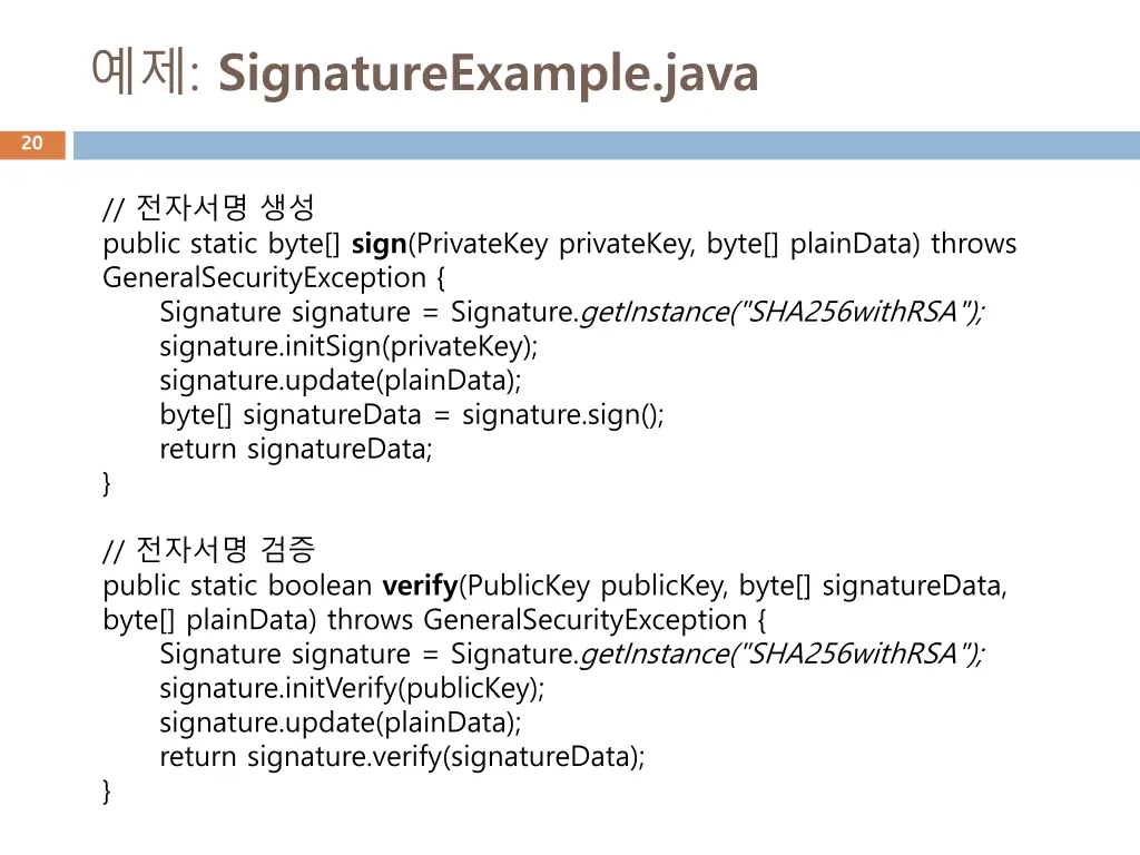 signatureexample java