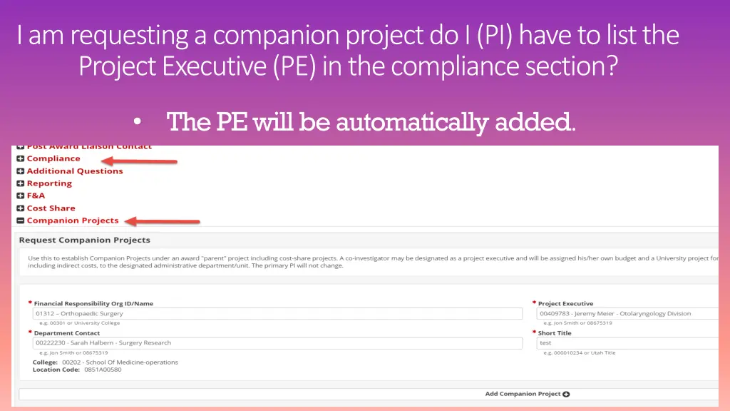 i am requesting a companion project do i pi have