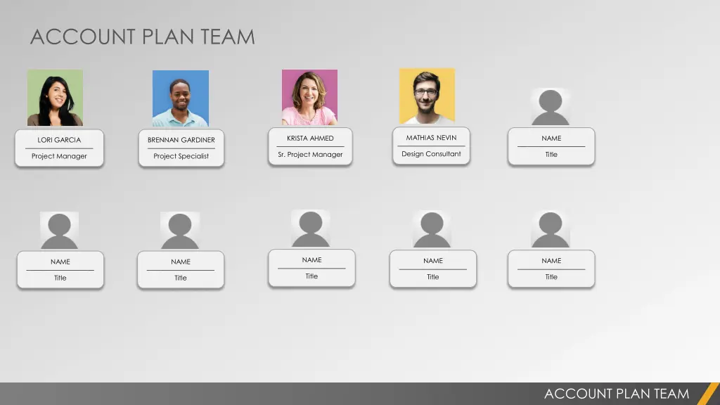 account plan team