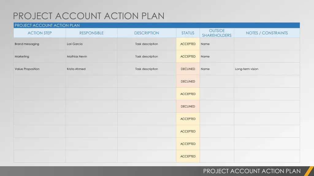 project account action plan project account