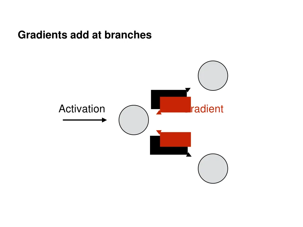 gradients add at branches 1