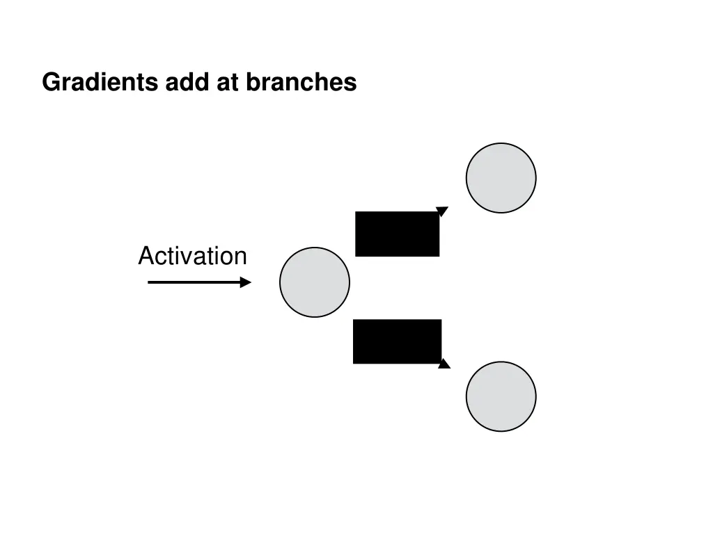 gradients add at branches