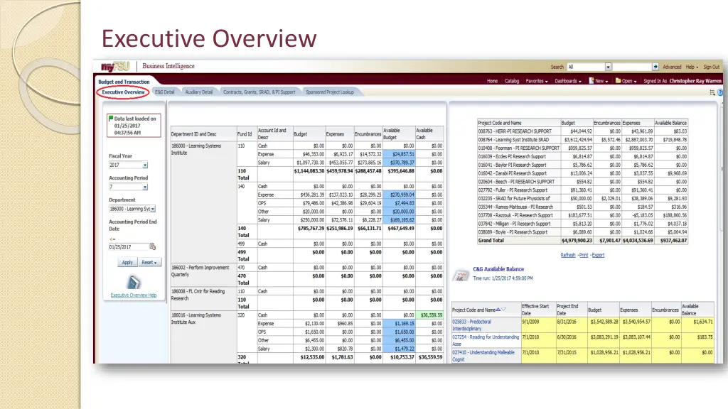 executive overview