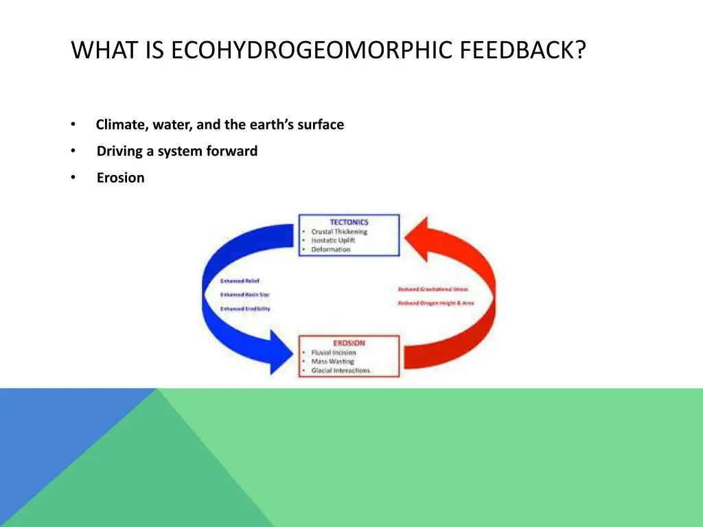 what is ecohydrogeomorphic feedback