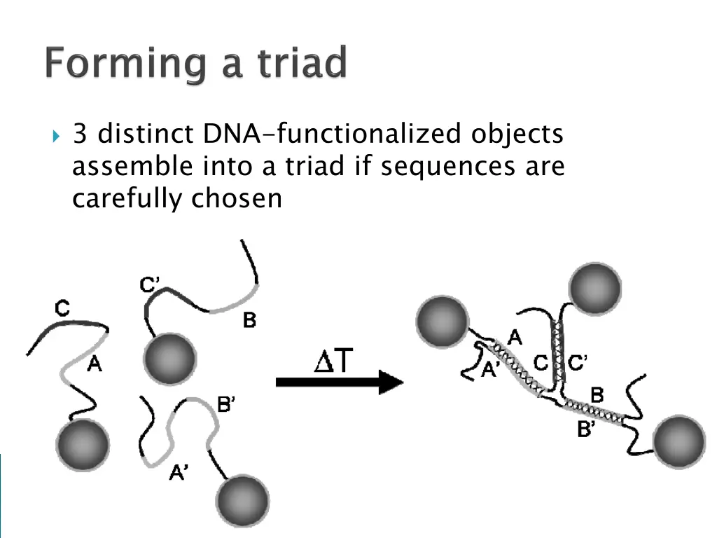 3 distinct dna functionalized objects assemble