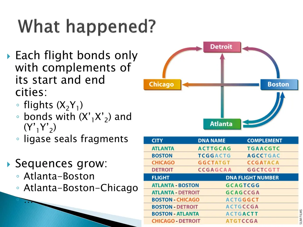 each flight bonds only with complements