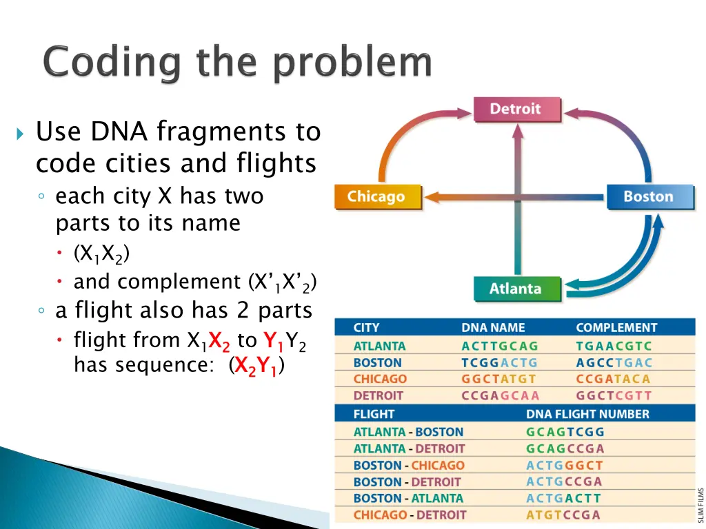 use dna fragments to code cities and flights each