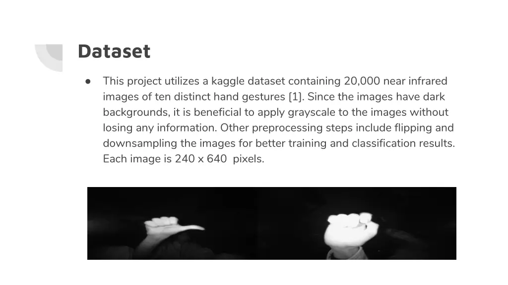 dataset