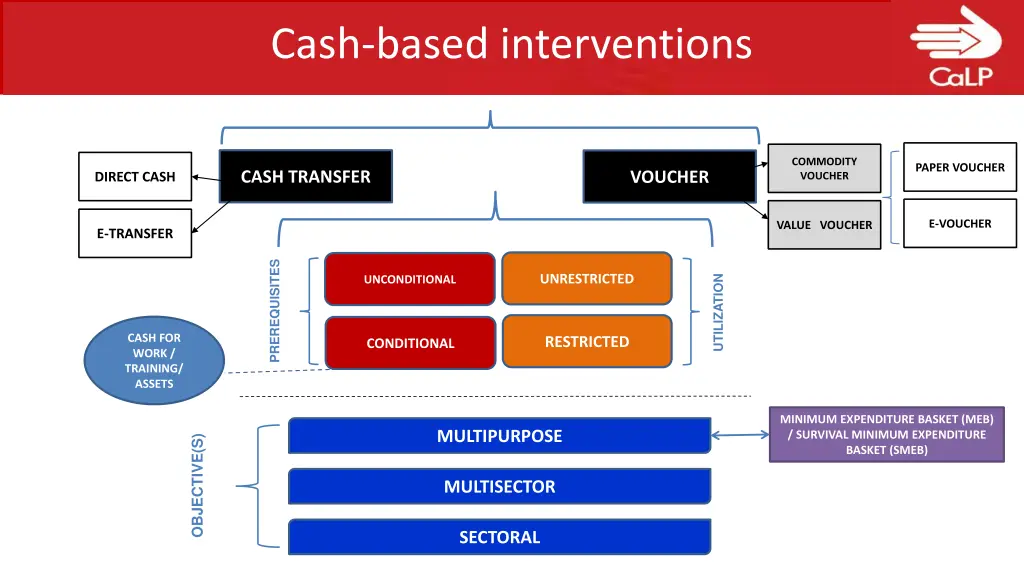 cash based interventions