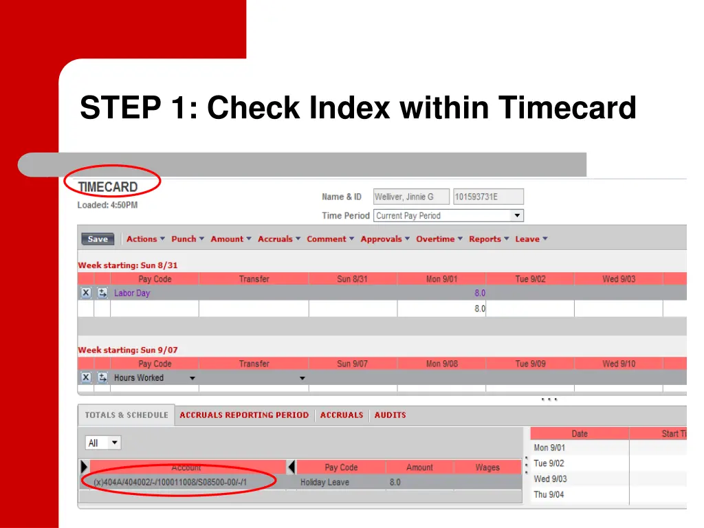 step 1 check index within timecard