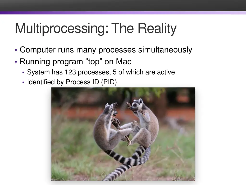 multiprocessing the reality
