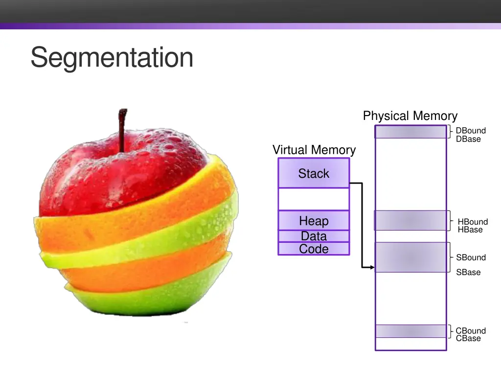 segmentation