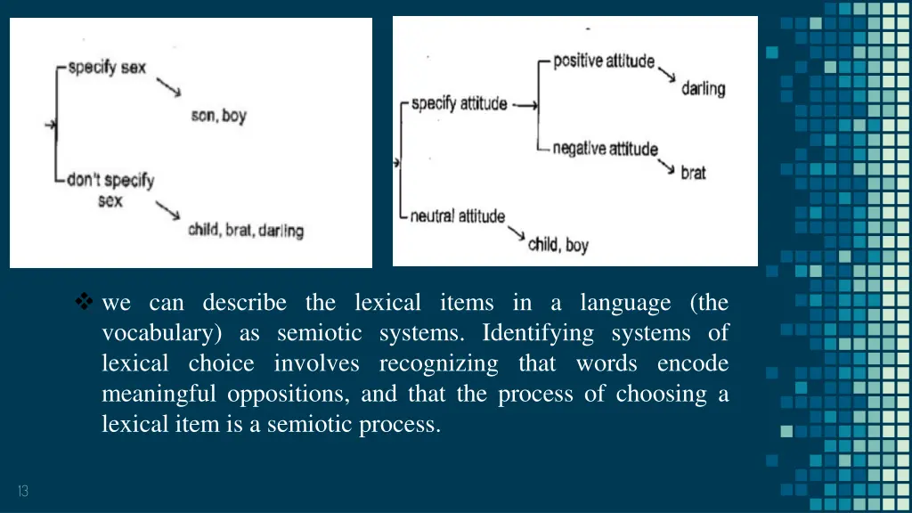 we can describe the lexical items in a language