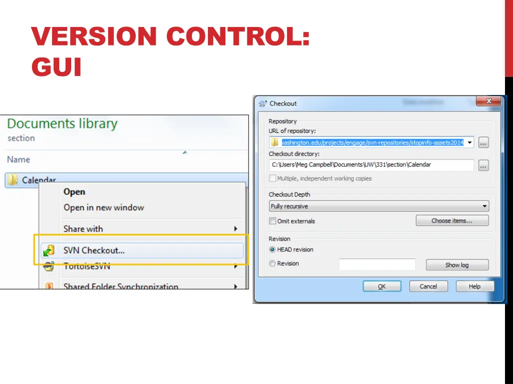 version control gui