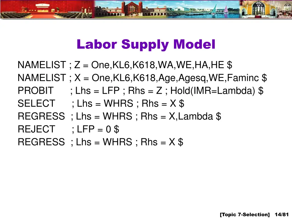 labor supply model