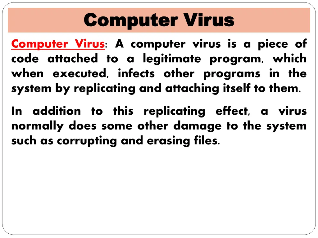 computer virus computer virus