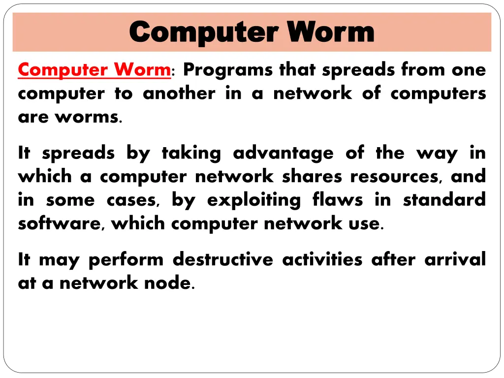 computer worm computer worm