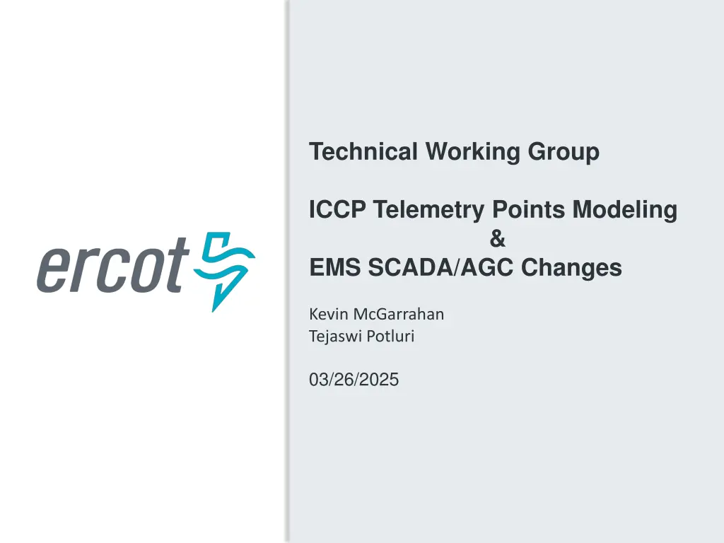 technical working group